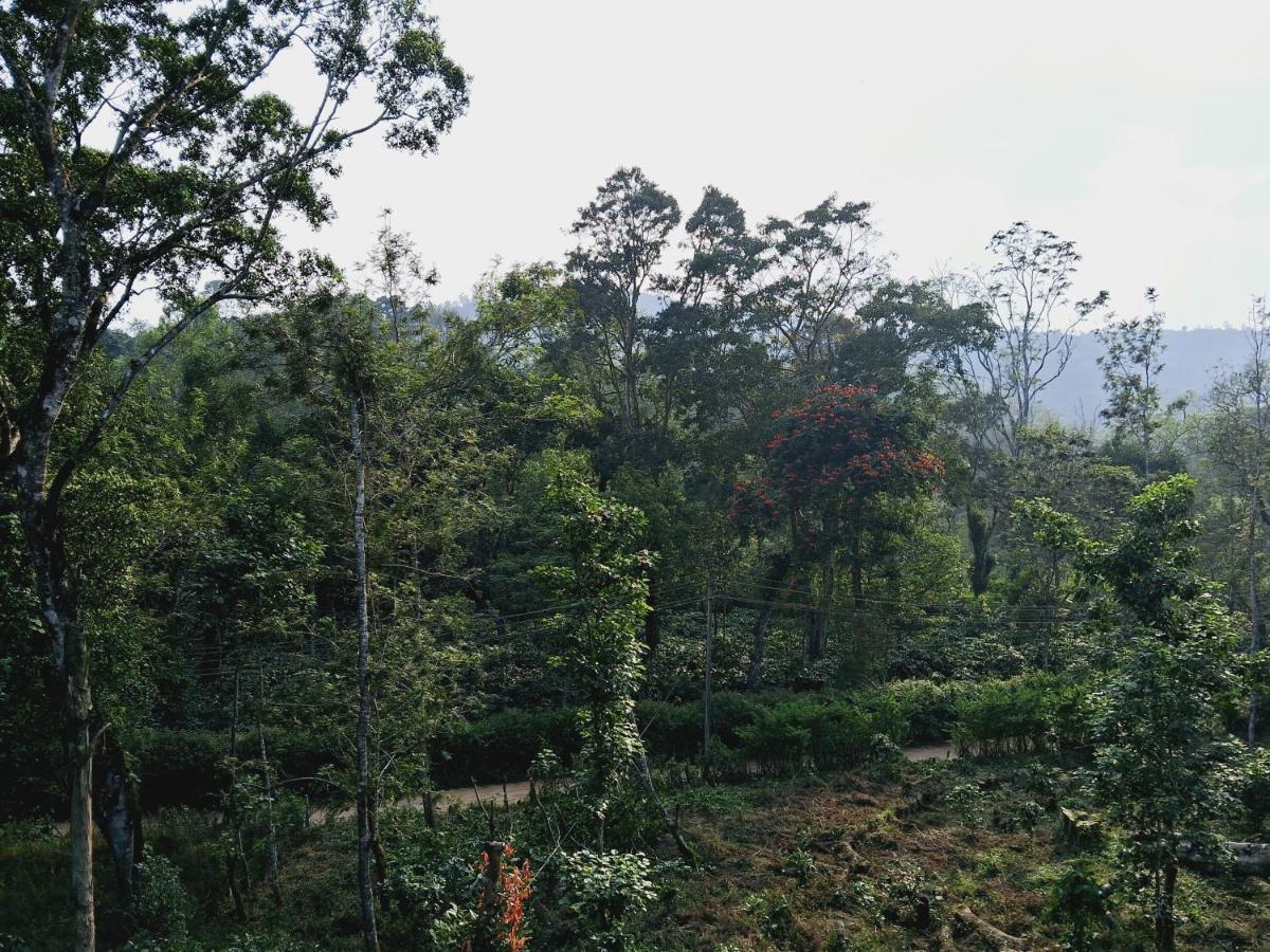 Coorg Teakwood Treasure Homestay Madikeri Zewnętrze zdjęcie